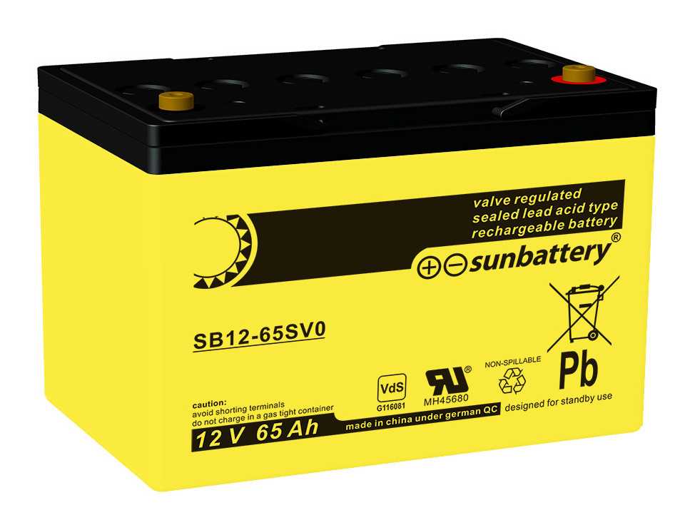 Bild von Sun Battery SB12-65SV0 12V 65Ah